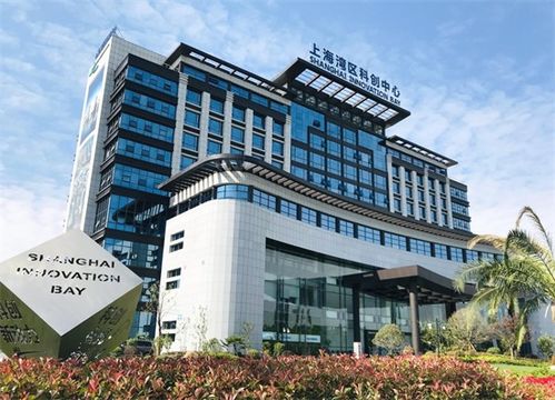 從“科創園區”到“城市名片” 上海灣區如何實現品牌躍遷